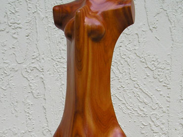 Female Torso